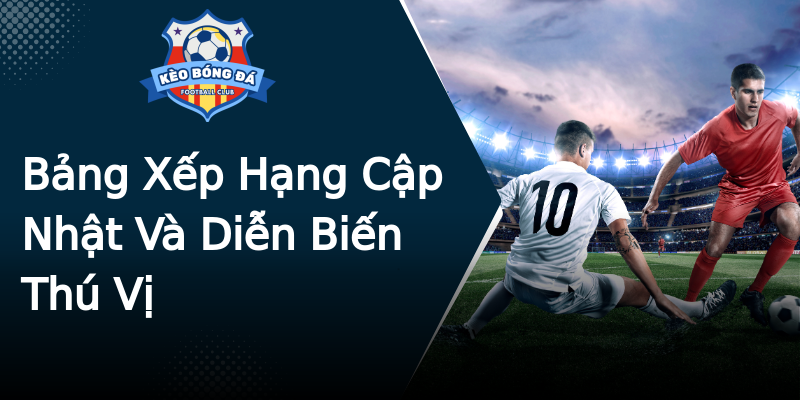 Bảng Xếp Hạng Cập Nhật Và Diễn Biến Thú Vị Bảng Xếp Hạng Cập Nhật Và Diễn Biến Thú Vị