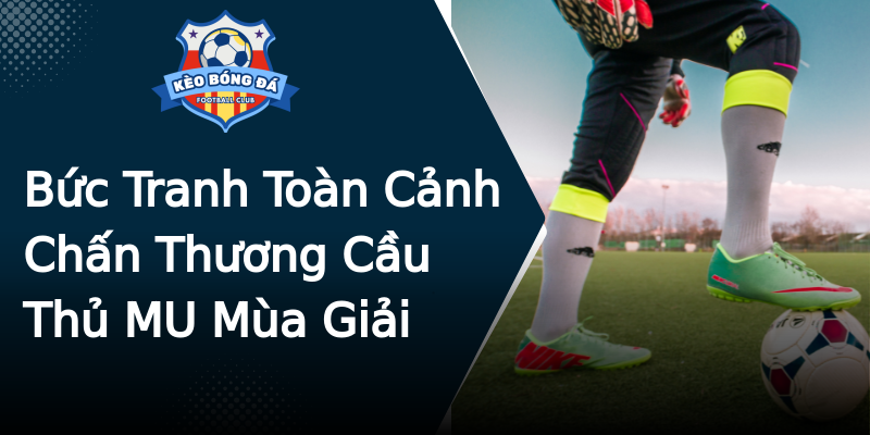 Bức Tranh Toàn Cảnh Chấn Thương Cầu Thủ MU Mùa Giải Bức Tranh Toàn Cảnh Chấn Thương Cầu Thủ MU Mùa Giải