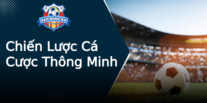 Chiến Lược Cá Cược Thông Minh Chiến Lược Cá Cược Thông Minh