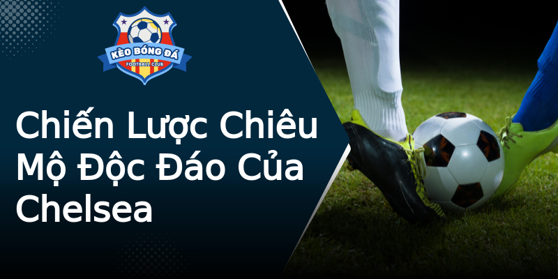 Chiến Lược Chiêu Mộ Độc Đáo Của Chelsea Chiến Lược Chiêu Mộ Độc Đáo Của Chelsea