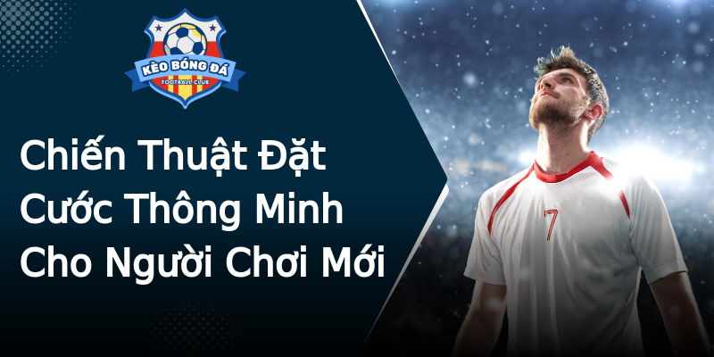 Chiến Thuật Đặt Cước Thông Minh Cho Người Chơi Mới Chiến Thuật Đặt Cước Thông Minh Cho Người Chơi Mới