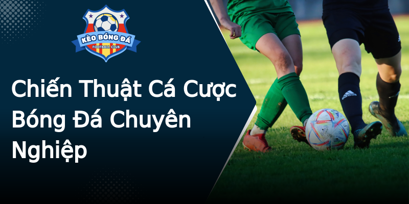 Chiến Thuật Cá Cược Bóng Đá Chuyên Nghiệp Chiến Thuật Cá Cược Bóng Đá Chuyên Nghiệp