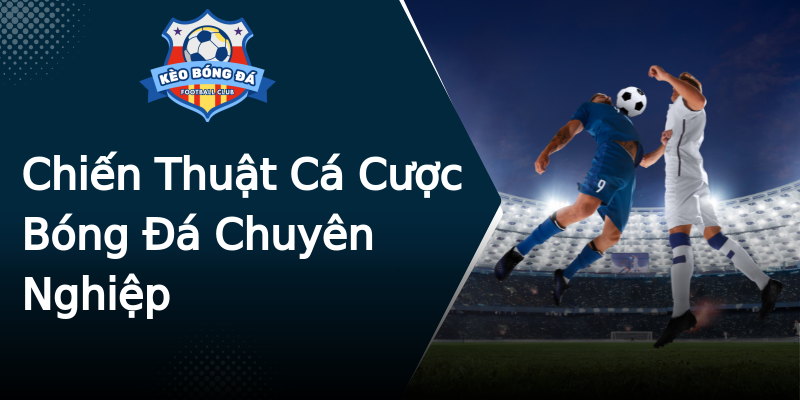 Chiến Thuật Cá Cược Bóng Đá Chuyên Nghiệp Chiến Thuật Cá Cược Bóng Đá Chuyên Nghiệp
