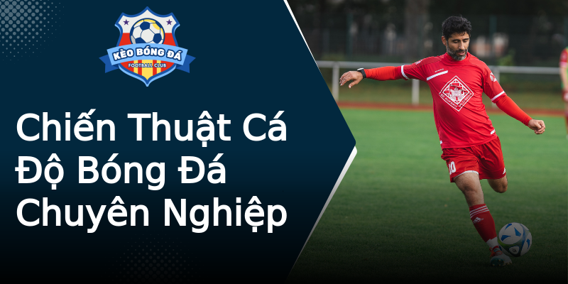 Chiến Thuật Cá Độ Bóng Đá Chuyên Nghiệp Chiến Thuật Cá Độ Bóng Đá Chuyên Nghiệp