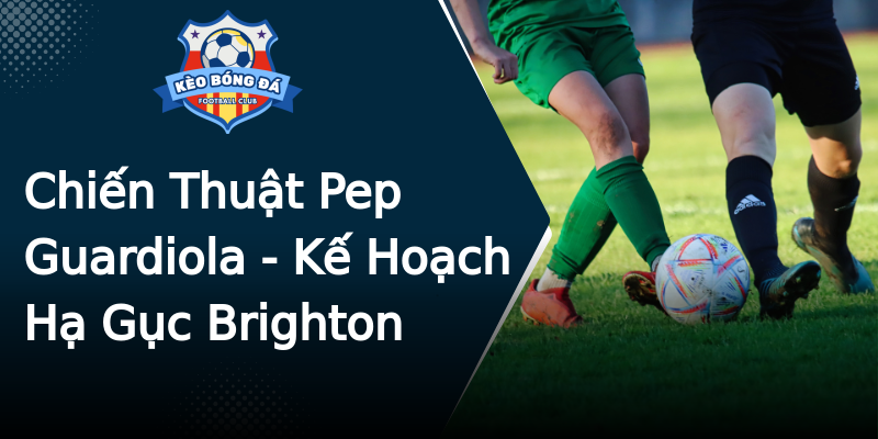 Chiến Thuật Pep Guardiola - Kế Hoạch Hạ Gục Brighton Chiến Thuật Pep Guardiola - Kế Hoạch Hạ Gục Brighton