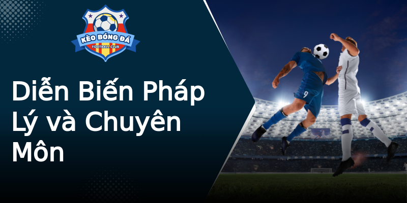 Diễn Biến Pháp Lý và Chuyên Môn Diễn Biến Pháp Lý và Chuyên Môn