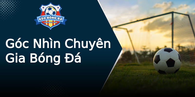 Góc Nhìn Chuyên Gia Bóng Đá Góc Nhìn Chuyên Gia Bóng Đá