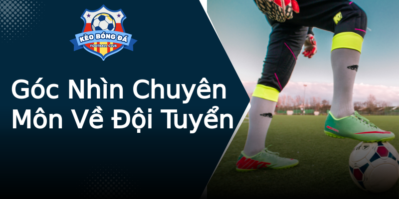 Góc Nhìn Chuyên Môn Về Đội Tuyển Góc Nhìn Chuyên Môn Về Đội Tuyển