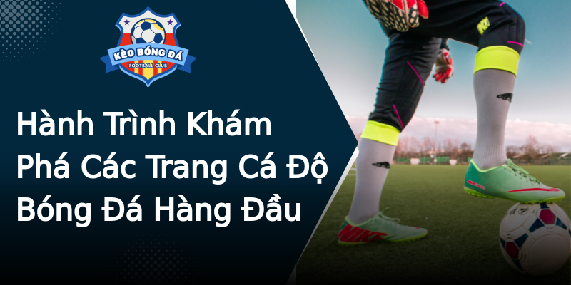 Hành Trình Khám Phá Các Trang Cá Độ Bóng Đá Hàng Đầu