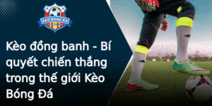 Keo Ong Banh Bi Quyet Chien Thang Trong The Gioi Keo Bong A