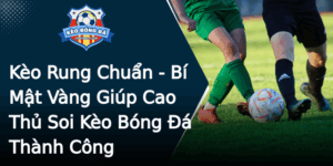 Keo Rung Chuan Bi Mat Vang Giup Cao Thu Soi Keo Bong A Thanh Cong