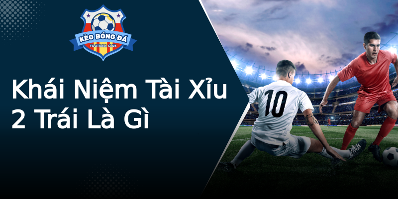 Khái Niệm Tài Xỉu 2 Trái Là Gì Khái Niệm Tài Xỉu 2 Trái Là Gì