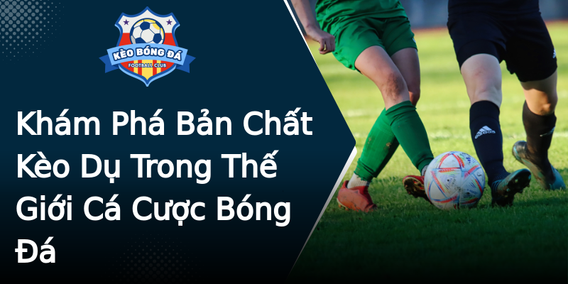 Khám Phá Bản Chất Kèo Dụ Trong Thế Giới Cá Cược Bóng Đá Khám Phá Bản Chất Kèo Dụ Trong Thế Giới Cá Cược Bóng Đá