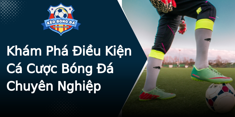 Khám Phá Điều Kiện Cá Cược Bóng Đá Chuyên Nghiệp Khám Phá Điều Kiện Cá Cược Bóng Đá Chuyên Nghiệp
