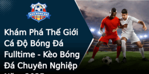 Kham Pha The Gioi Ca O Bong A Fulltime Keo Bong A Chuyen Nghiep Nam 2025