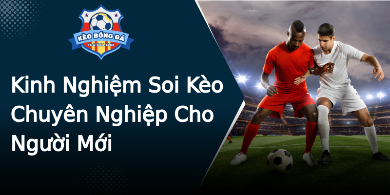 Kinh Nghiệm Soi Kèo Chuyên Nghiệp Cho Người Mới Kinh Nghiệm Soi Kèo Chuyên Nghiệp Cho Người Mới