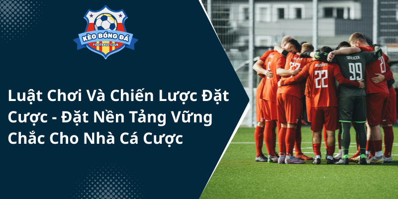 Luat Choi Va Chien Luoc Dat Cuoc Dat Nen Tang Vung Chac Cho Nha Ca Cuoc