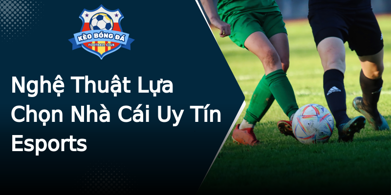 Nghệ Thuật Lựa Chọn Nhà Cái Uy Tín Esports Nghệ Thuật Lựa Chọn Nhà Cái Uy Tín Esports