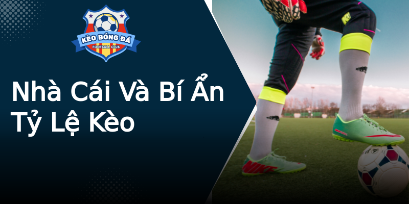 Nhà Cái Và Bí Ẩn Tỷ Lệ Kèo Nhà Cái Và Bí Ẩn Tỷ Lệ Kèo