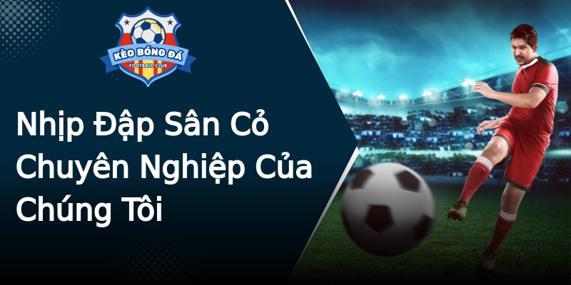 Nhịp Đập Sân Cỏ Chuyên Nghiệp Của Chúng Tôi Nhịp Đập Sân Cỏ Chuyên Nghiệp Của Chúng Tôi