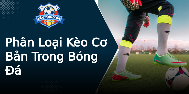 Phân Loại Kèo Cơ Bản Trong Bóng Đá Phân Loại Kèo Cơ Bản Trong Bóng Đá