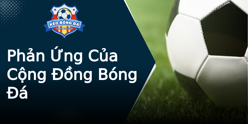 Phản Ứng Của Cộng Đồng Bóng Đá Phản Ứng Của Cộng Đồng Bóng Đá