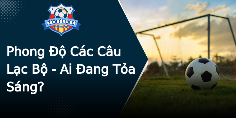 Phong Độ Các Câu Lạc Bộ - Ai Đang Tỏa Sáng? Phong Độ Các Câu Lạc Bộ - Ai Đang Tỏa Sáng?