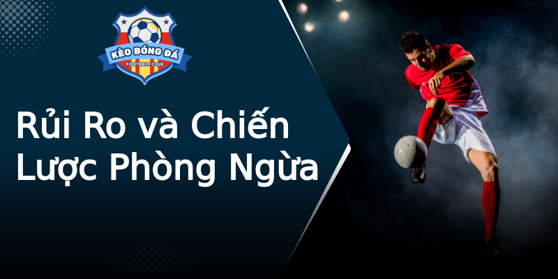 Rủi Ro và Chiến Lược Phòng Ngừa Rủi Ro và Chiến Lược Phòng Ngừa