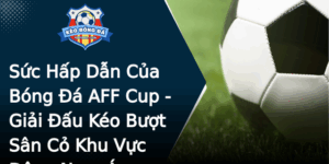 Suc Hap Dan Cua Bong A Aff Cup Giai Au Keo Buot San Co Khu Vuc Ong Nam A