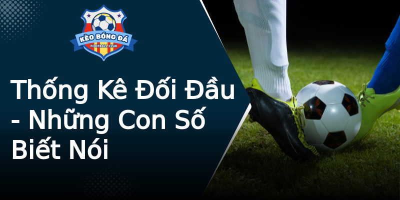 Thống Kê Đối Đầu - Những Con Số Biết Nói Thống Kê Đối Đầu - Những Con Số Biết Nói