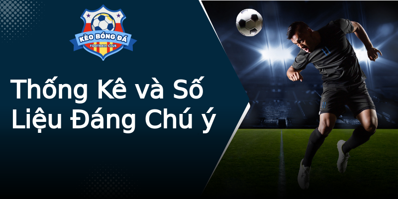 Thống Kê và Số Liệu Đáng Chú ý Thống Kê và Số Liệu Đáng Chú ý
