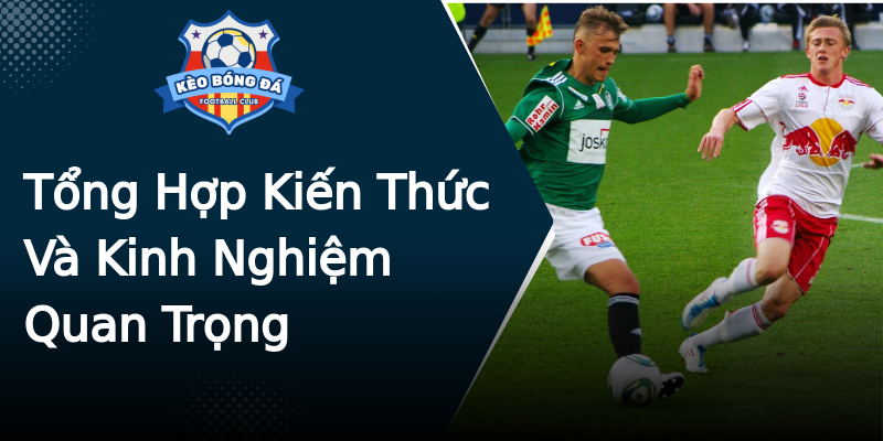 Tổng Hợp Kiến Thức Và Kinh Nghiệm Quan Trọng Tổng Hợp Kiến Thức Và Kinh Nghiệm Quan Trọng